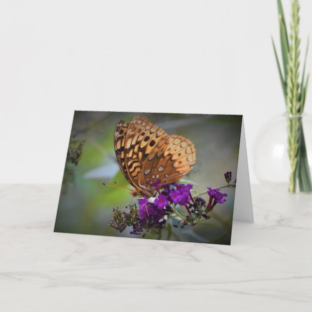 Schmetterling, Karte (Vorderseite)