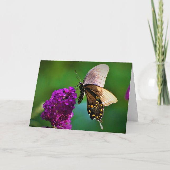 Schmetterling, Karte (Vorderseite)
