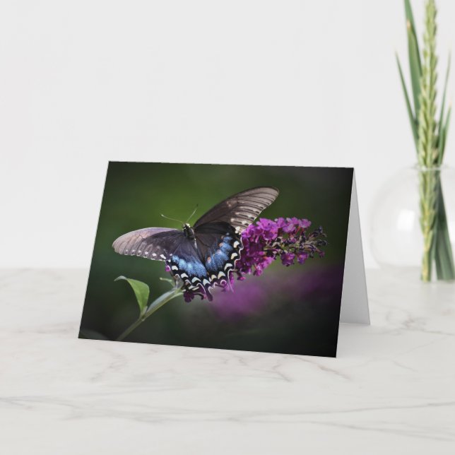 Schmetterling, Karte (Vorderseite)