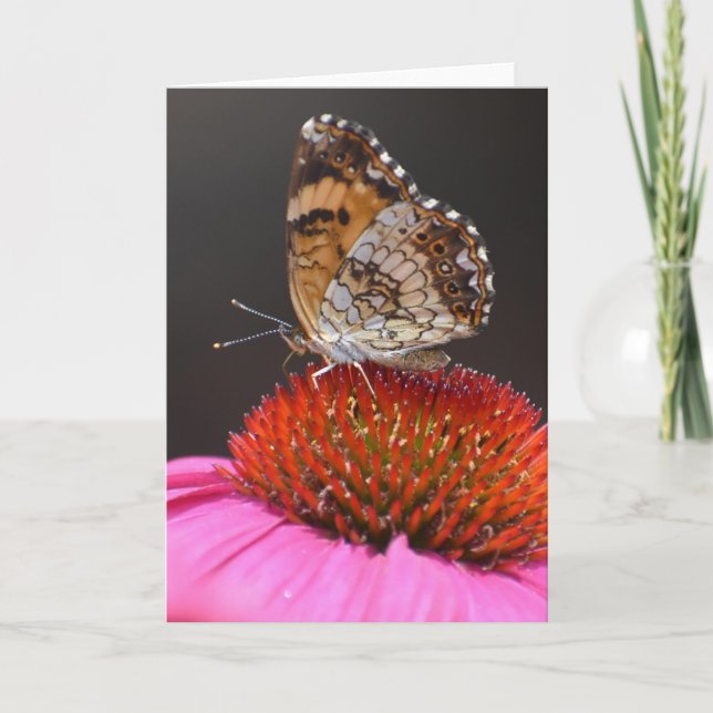 Schmetterling, Karte (Vorderseite)