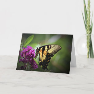 Schmetterling, Karte
