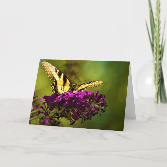Schmetterling, Karte (Vorderseite)