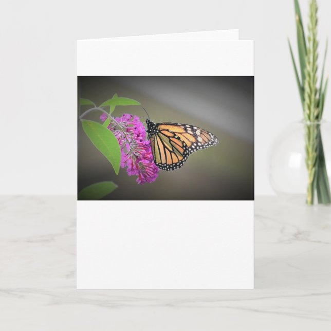 Schmetterling, Karte (Vorderseite)