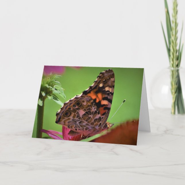 Schmetterling, Karte (Vorderseite)