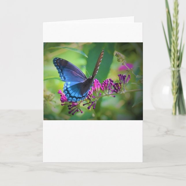 Schmetterling, Karte (Vorderseite)