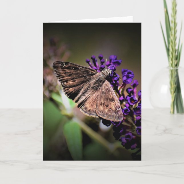 Schmetterling, Karte (Vorderseite)