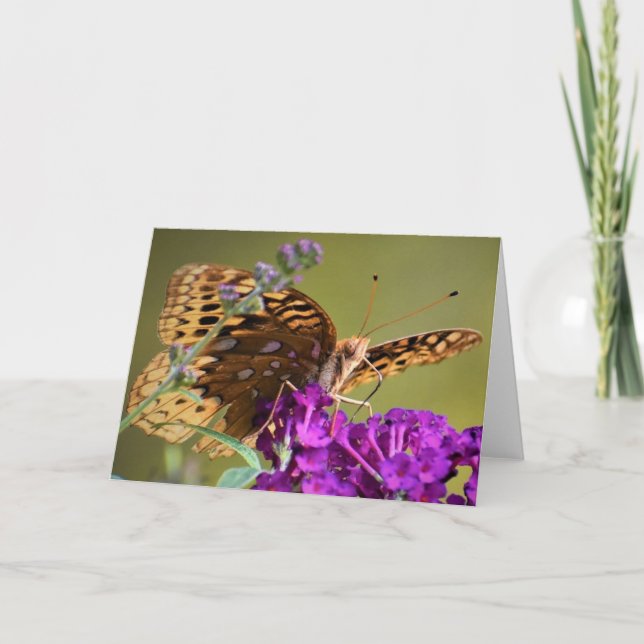 Schmetterling, Karte (Vorderseite)