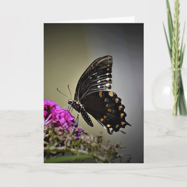 Schmetterling, Karte (Vorderseite)