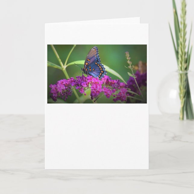 Schmetterling, Karte (Vorderseite)