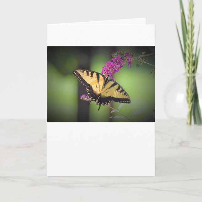 Schmetterling, Karte (Vorderseite)