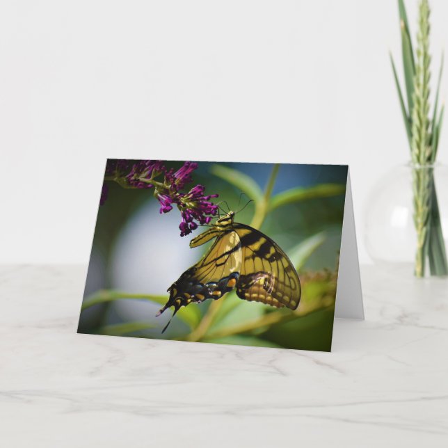 Schmetterling, Karte (Vorderseite)