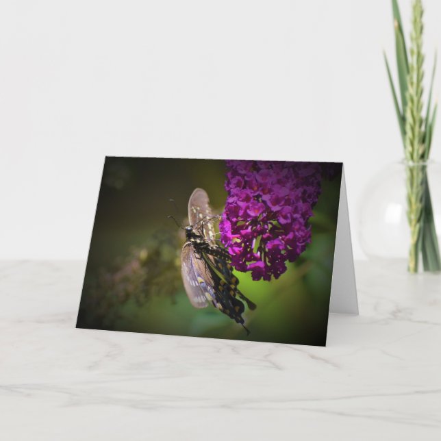 Schmetterling, Karte (Vorderseite)