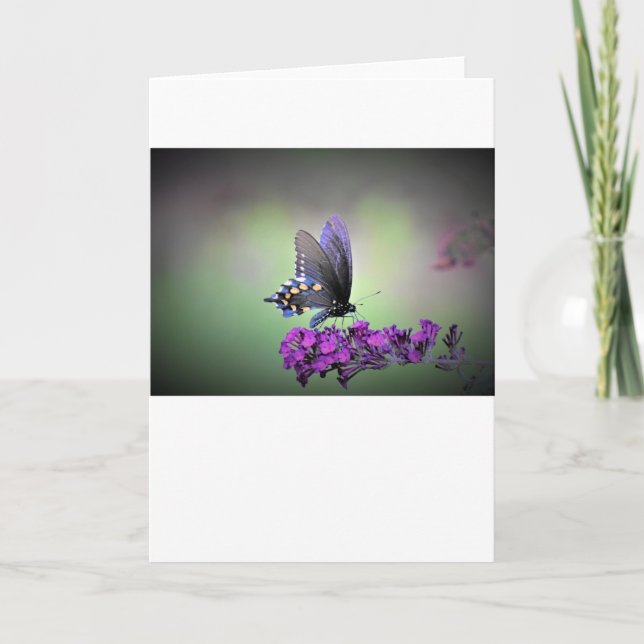 Schmetterling, Karte (Vorderseite)