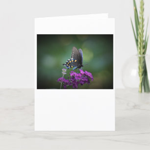 Schmetterling, Karte