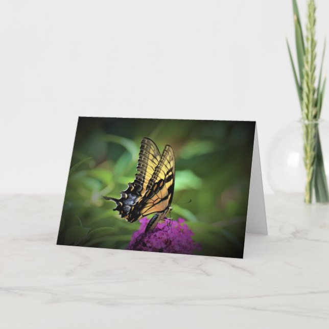 Schmetterling, Karte (Vorderseite)