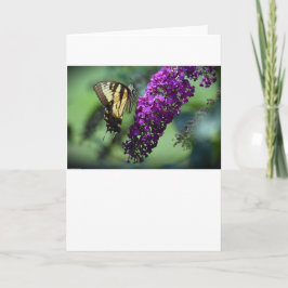Schmetterling, Karte