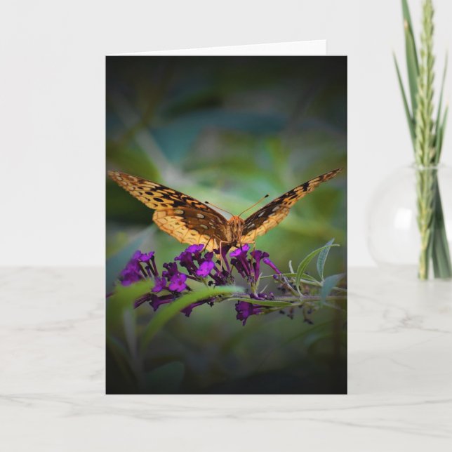 Schmetterling, Karte (Vorderseite)