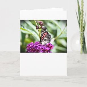 Schmetterling, Karte