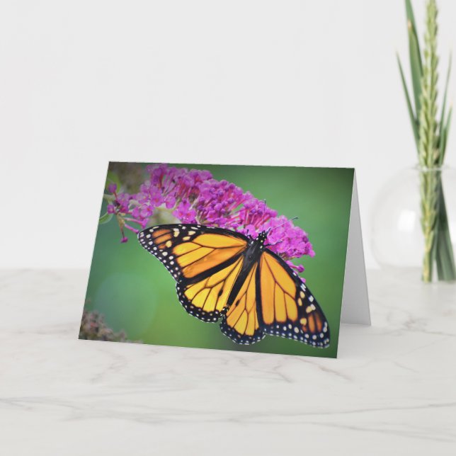 Schmetterling, Karte (Vorderseite)