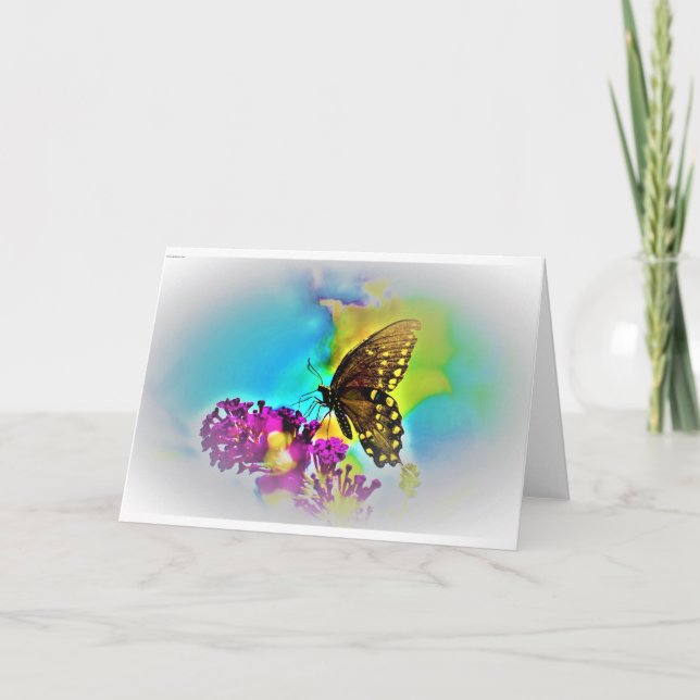 Schmetterling, Karte (Vorderseite)