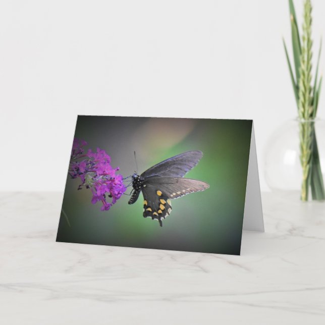 Schmetterling, Karte (Vorderseite)