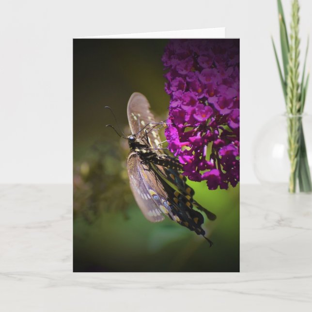 Schmetterling, Karte (Vorderseite)
