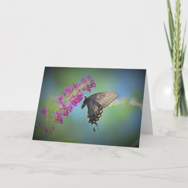 Schmetterling, Karte (Vorderseite)