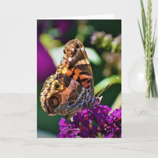 Schmetterling, Karte (Vorderseite)