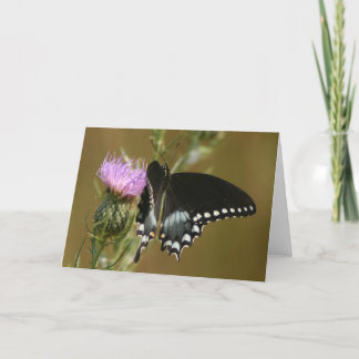 Schmetterling Karte