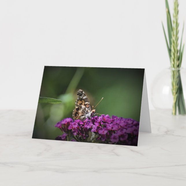 Schmetterling, Karte (Vorderseite)