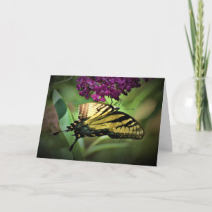 Schmetterling, Karte