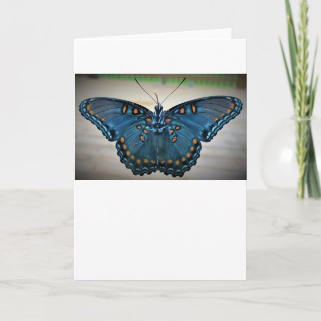 Schmetterling, Karte (Vorderseite)