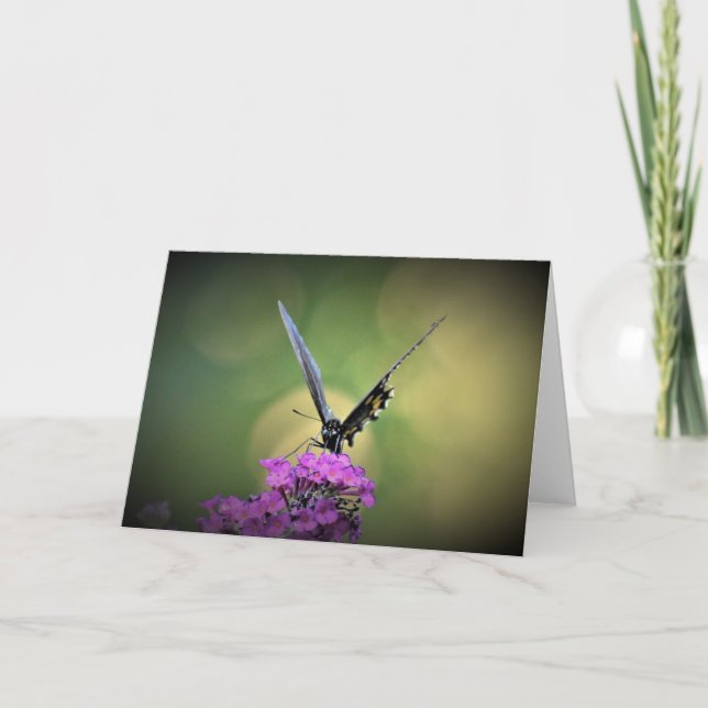 Schmetterling, Karte (Vorderseite)