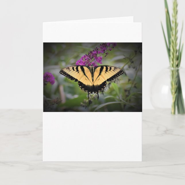 Schmetterling, Karte (Vorderseite)