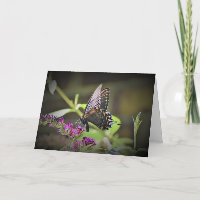Schmetterling, Karte (Vorderseite)
