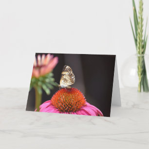 Schmetterling, Karte