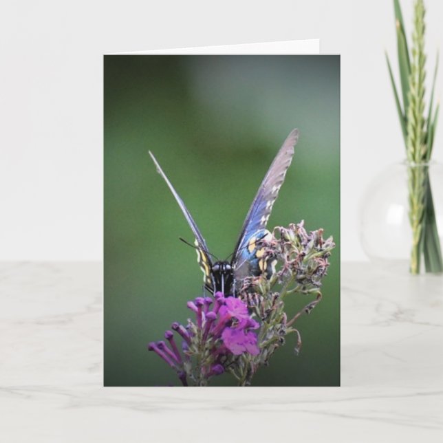 Schmetterling, Karte (Vorderseite)