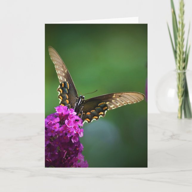 Schmetterling, Karte (Vorderseite)