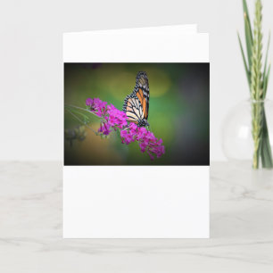 Schmetterling, Karte