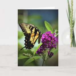 Schmetterling, Karte