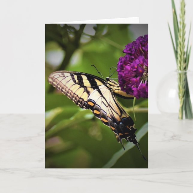 Schmetterling, Karte (Vorderseite)