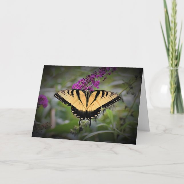 Schmetterling, Karte (Vorderseite)