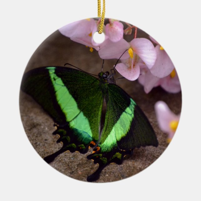 Schmetterling Keramik Ornament (Vorne)