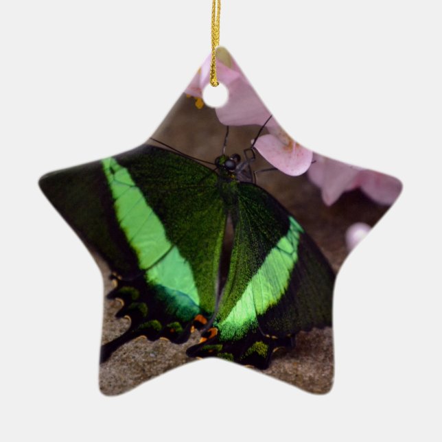 Schmetterling Keramik Ornament (Vorne)