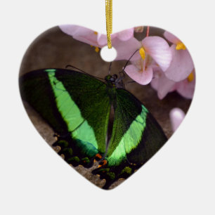 Schmetterling Keramikornament