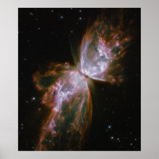 Schmetterling kommt vom Stellar Demise in Planetar Poster