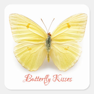 Schmetterling küsst Aufkleber
