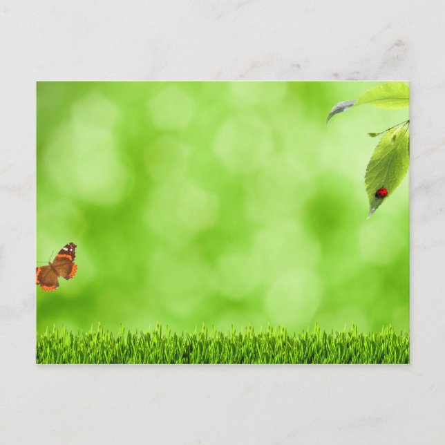 Schmetterling & Ladybug über Gras Postkarte (Vorderseite)
