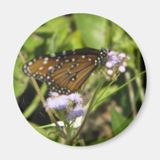 Schmetterling landet auf einer Blume Magnet