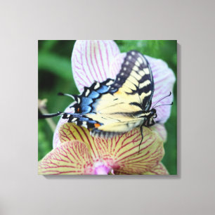 Schmetterling Leinwanddruck